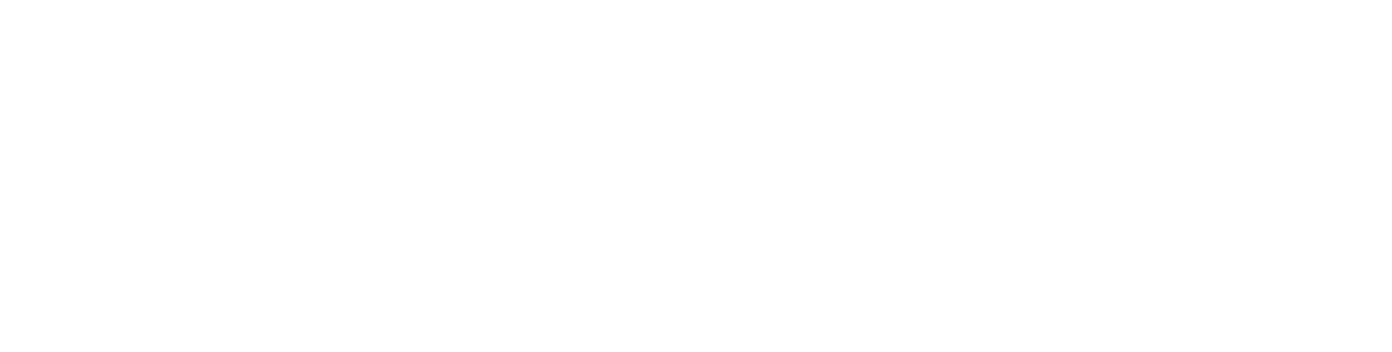 VD BIO MEDISYSTEMS
